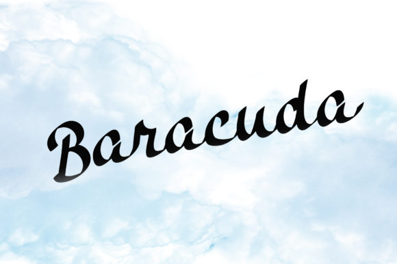 Baracuda: A Bold Script Font for Dynamic Web Design