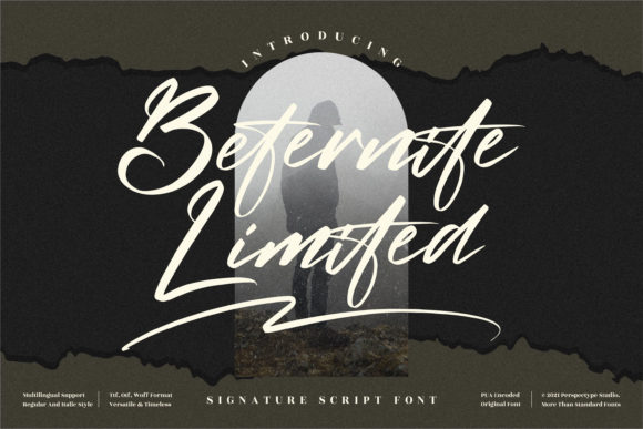 Beternite Limited: A Script Font for Digital Marketers