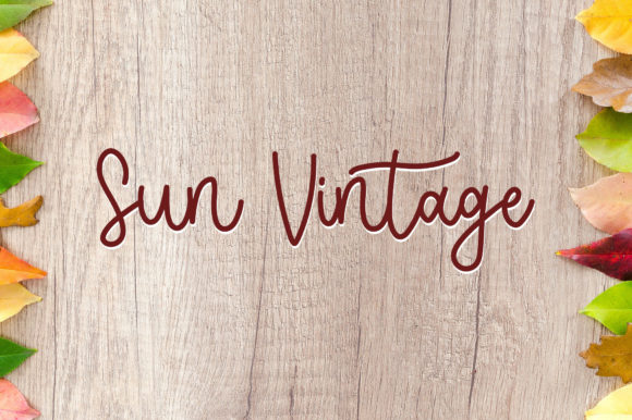Font Review: Sun Vintage for Campaign Design