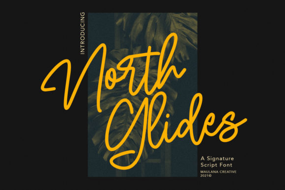 North Glides: A Script Font for Elegant Web Design