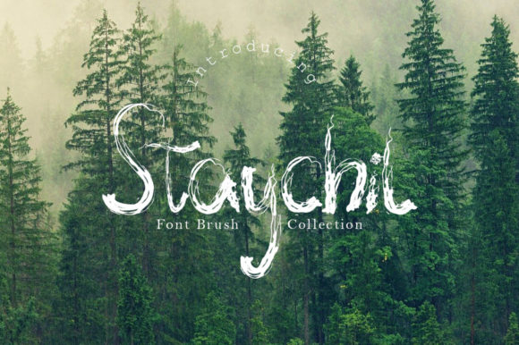 Staychil: A Stylish Typeface for Editorial Projects