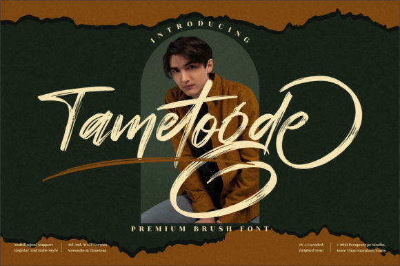 Tametogde: A Bold Brushed Script Font for Branding Projects