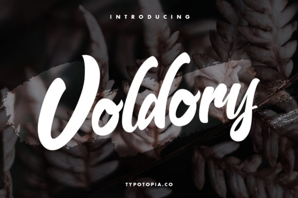 Voldory: A Script Font That Adds Warmth and Personality