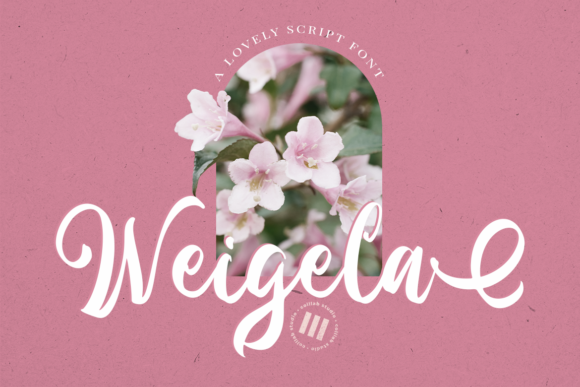 Weigela: A Script Font That Elevates Editorial Design