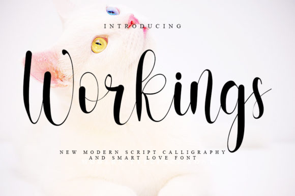 Workings: A Script Font for Editorial Design and Branding